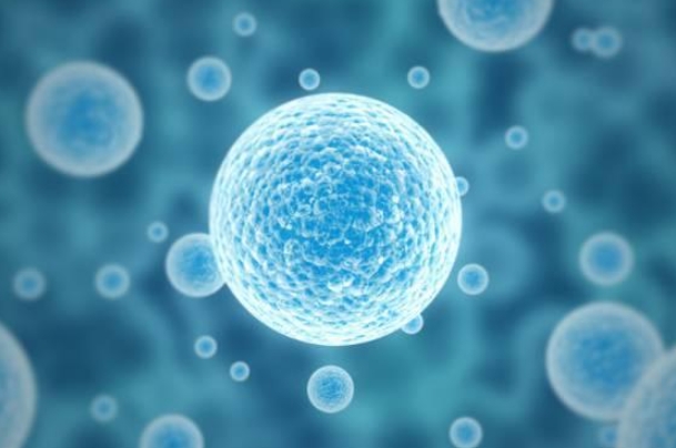 50多岁梦见兔子会发财吗_兔子招财吗