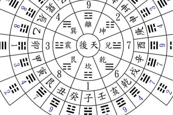 12生肖图片大全真实_真实图集欣赏