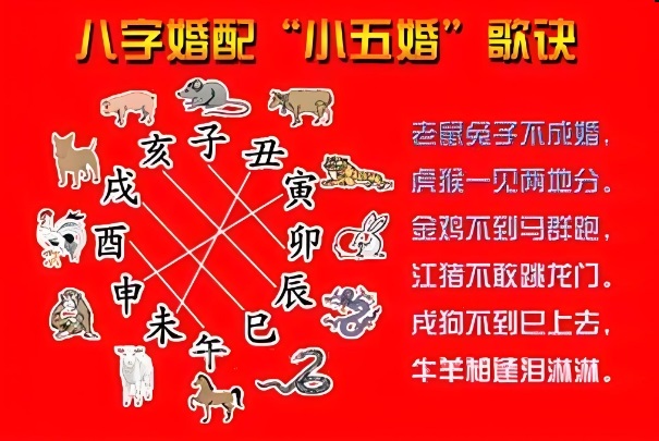 12星座今日运势查询_星座运势速览图片