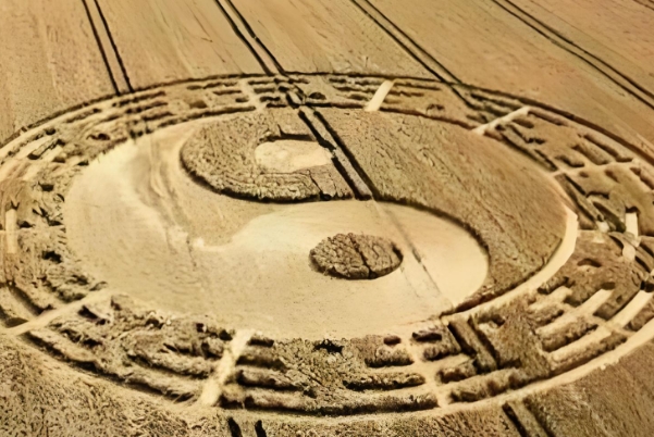 12属相最佳婚配表图片