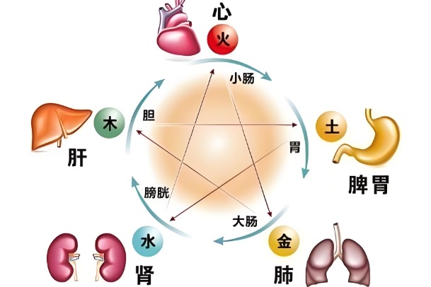 40岁女人做梦掉头发什么意思