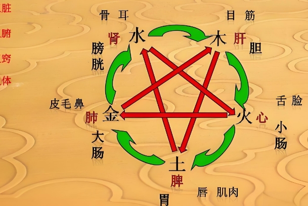 50岁的女人梦见蛇好不好