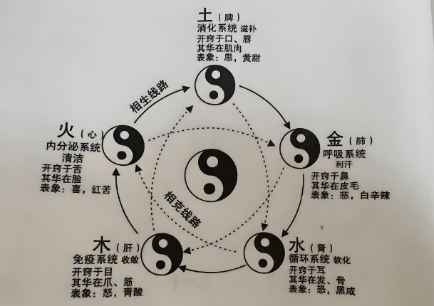 12生肖排名顺序_鼠牛虎兔龙记图片