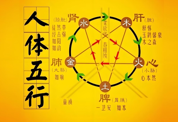 12生肖年龄表图片