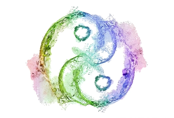 12属相婚姻配对大全