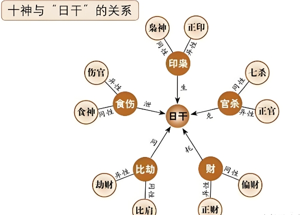 12生肖与年份对照表_快速查表