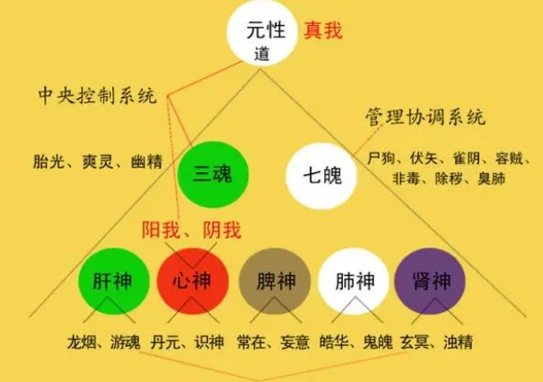 12生肖每日每月运势查询