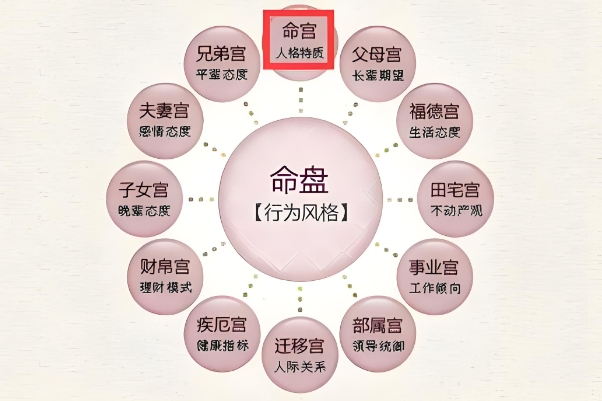 2点到3点梦见蛇被惊醒图片