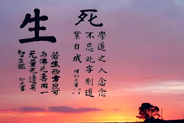 12生肖夫妻最佳配对_配对宝典图片