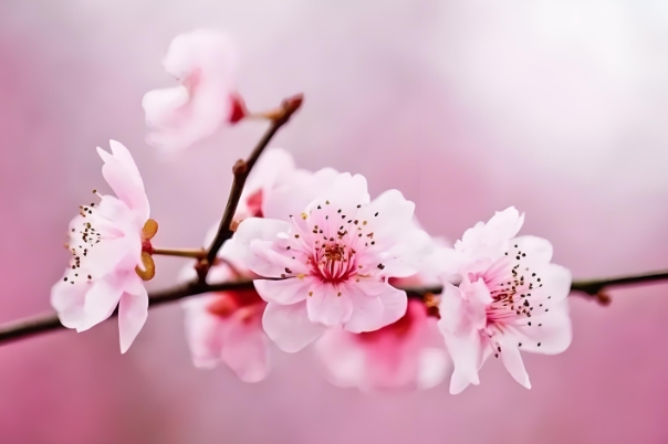 40多岁女人梦见蛇好害怕_梦见蛇含义