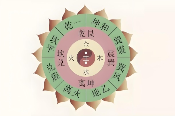 50岁女人梦见乌龟_寿与变迁图片