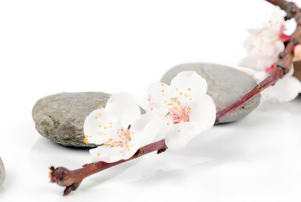 肚形尖、胃口大爱吃肉、胎心率低于140、胎动多且偏右、面色红润、皮肤光滑头发油亮、早孕反应少、尿色清亮、体重集中腹部、手掌干燥不变色、乳房变化不大、妊娠线直且深、脚不易水肿、胎位偏高、家族男丁多、喜欢吃咸食、孕妇眉宇间精神好