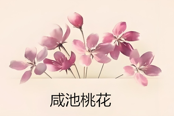 鼠1岁 牛2岁 虎3岁 兔4岁 龙5岁 蛇6岁 马7岁 羊8岁 猴9岁 鸡10岁 狗11岁 猪12岁