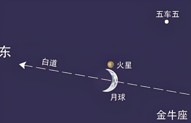 12生肖最佳夫妻属相婚配表