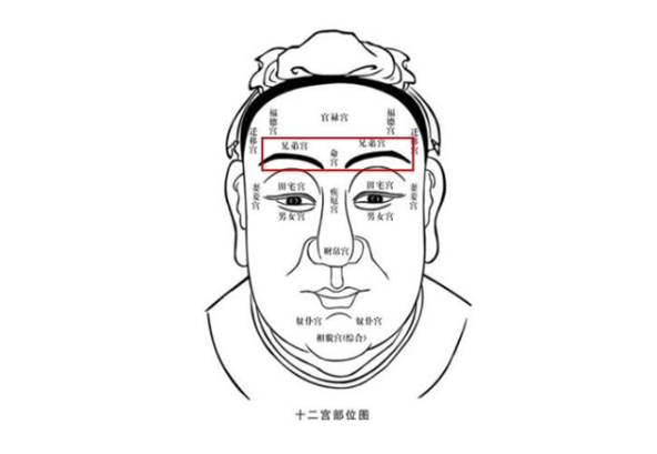 12生肖十二星座_星座生肖全览