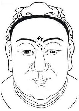 12生肖夫妻最佳配对_配对宝典