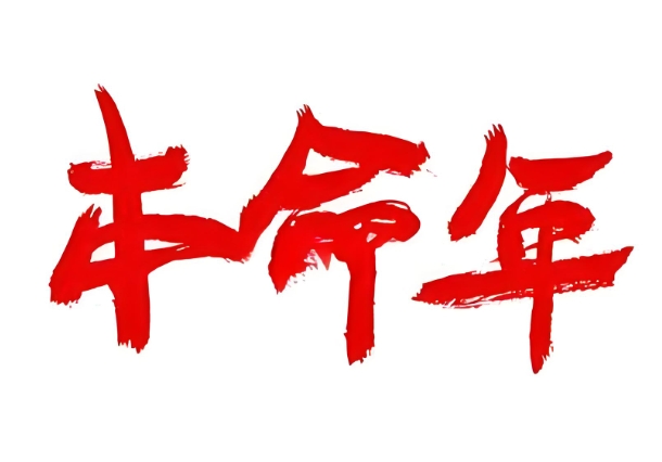 50多岁梦见自己生孩子_再育新梦