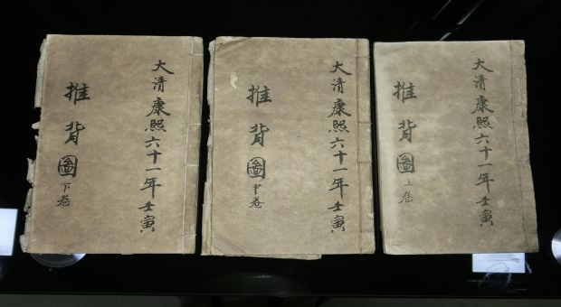 50岁到60岁梦到蛇咬自己_中年蛇咬梦图片