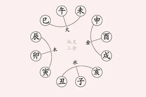 10岁小男孩驾车游玩