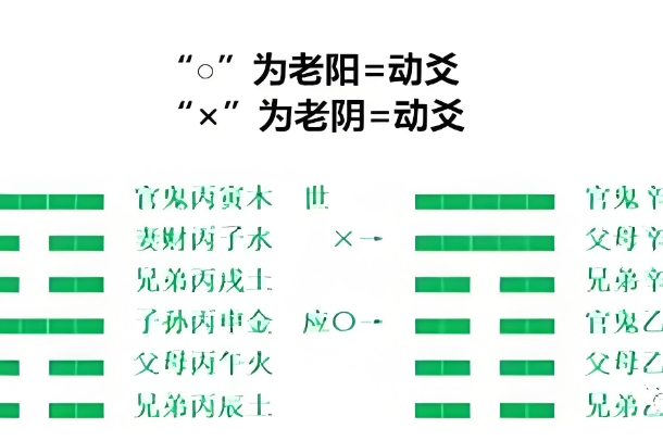 87年女兔后半生苦吗_后半生论