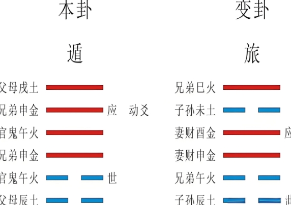 12生肖表资料大全_详解与查询图片