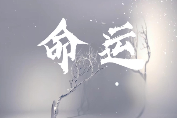 12生肖排名顺序_鼠牛虎兔龙记图片