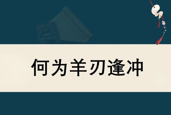 12生肖婚配表图片