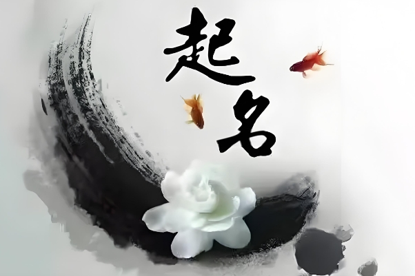 69年属什么生肖_属鸡运势简析