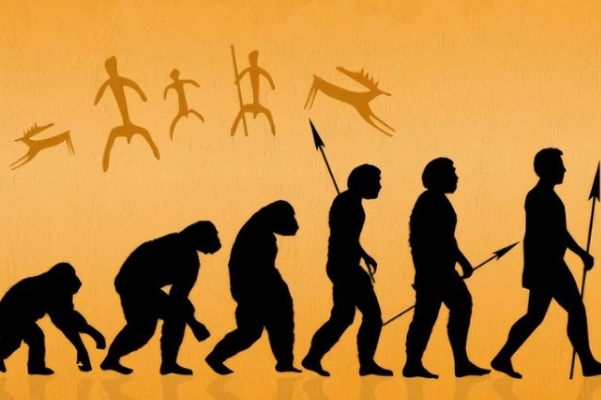 87年属兔35岁2022运势_兔年运势详解