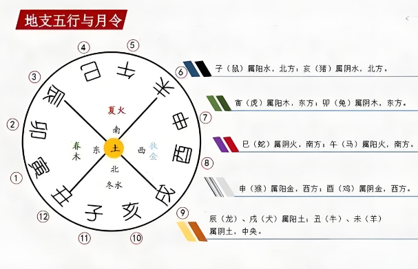 50多岁梦见兔子会发财吗_兔子招财吗