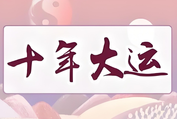 12生肖配对查询