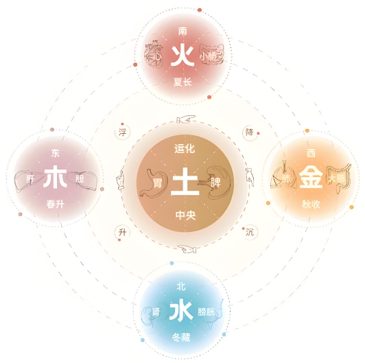 83年属猪40岁以后大运_中年转运详解