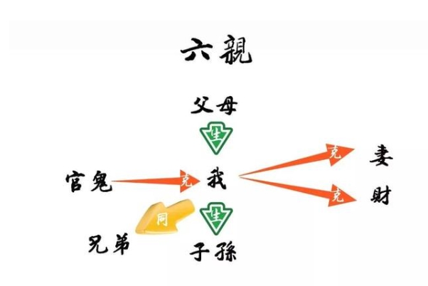 40岁女人梦见蛇咬自己