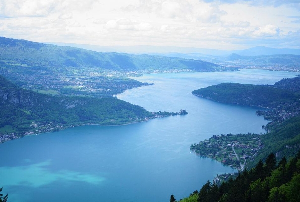 12属相十二生肖顺序_鼠牛虎兔龙蛇马羊猴鸡狗猪